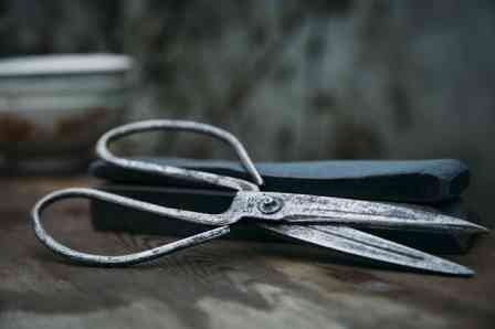 Garden Scissors