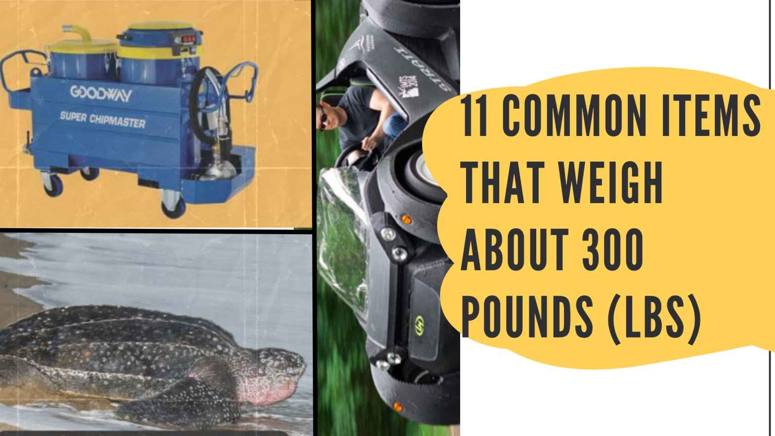 11 Common Items That Weigh Around 300 Pounds (lbs)