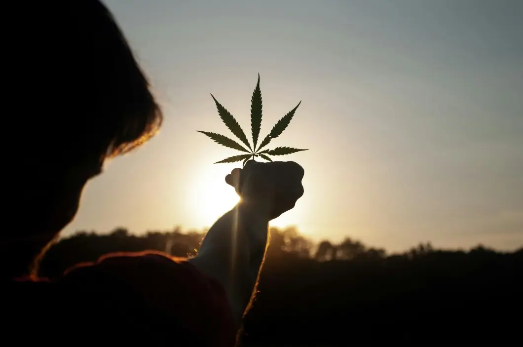 A Beginner’s Guide to Selecting a Cannabis Dispensary