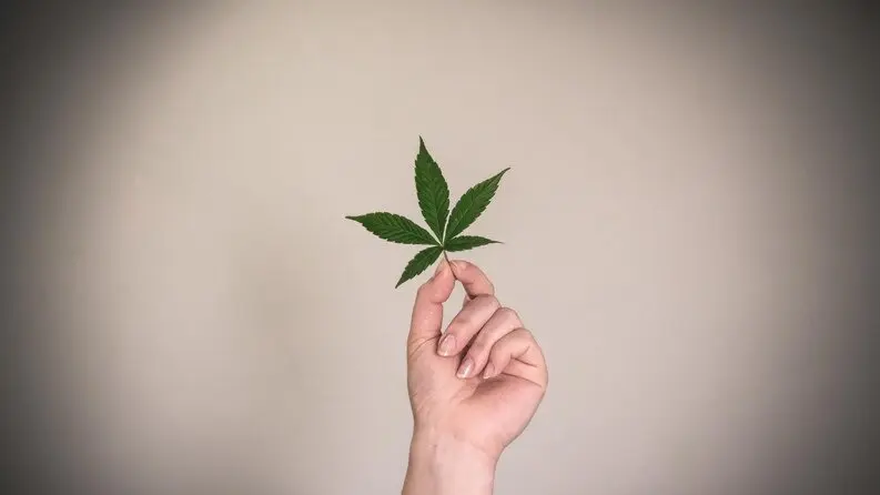 Does Smoking Weed Make You Lose Weight