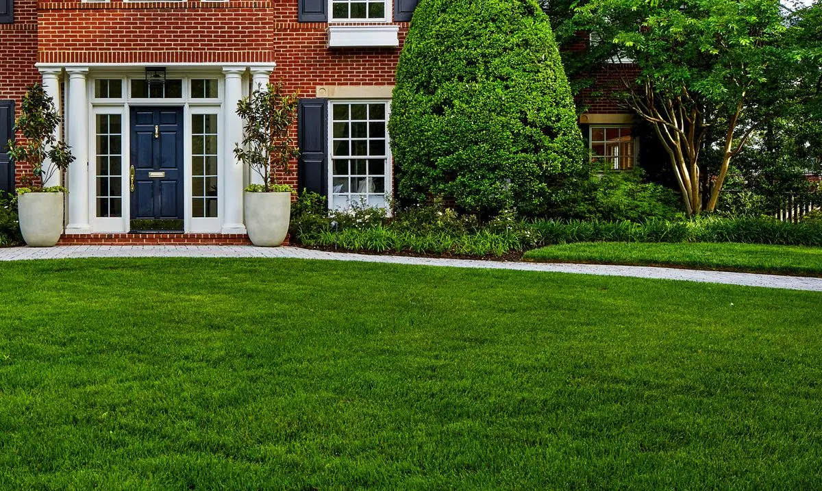 Smart Lawn Care Habits for Healthier Grass All Year Round