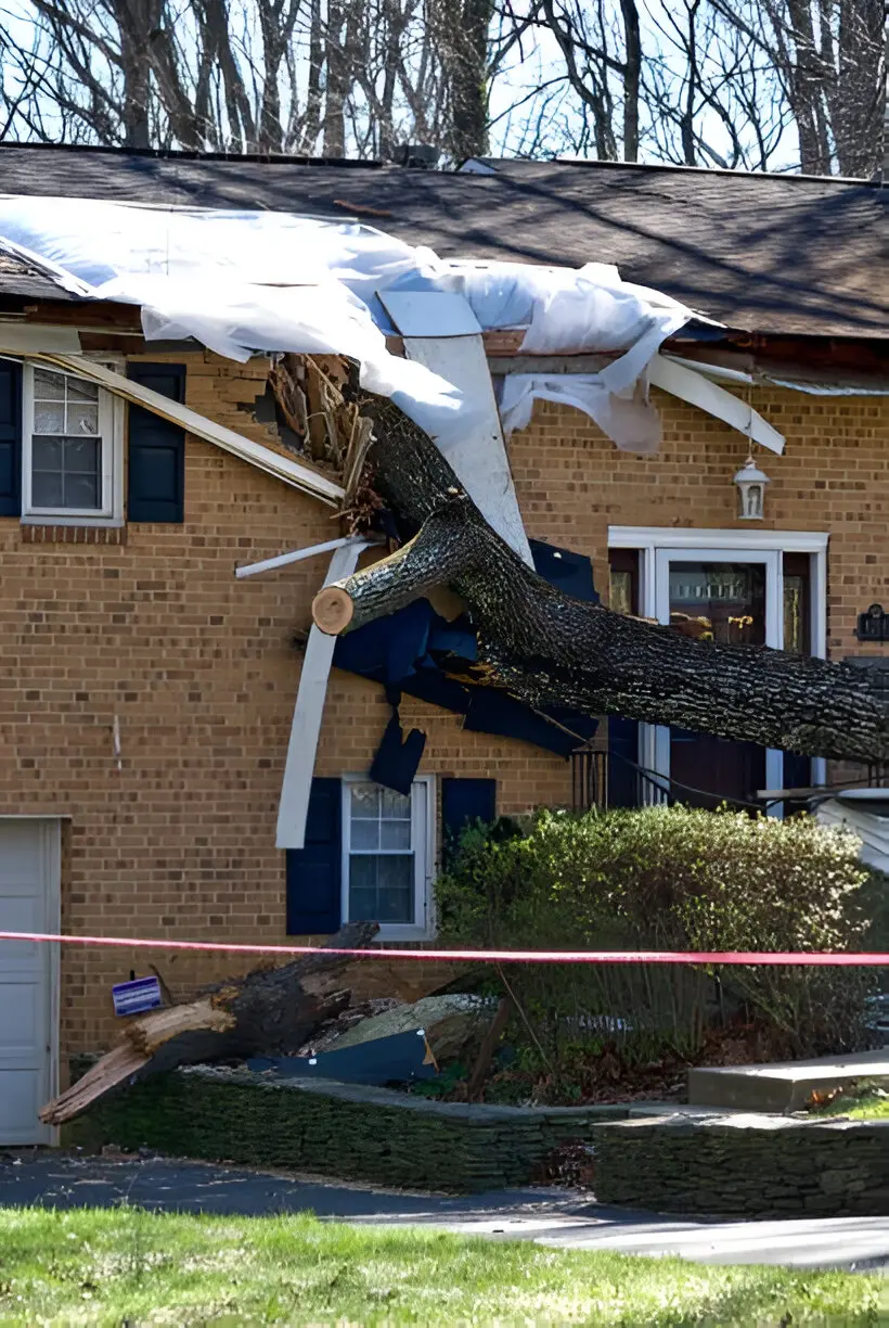 How Professional Storm Cleanup Prevents Structural Failures