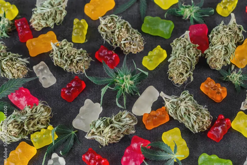 One variety in particular is trending Sativa gummies.