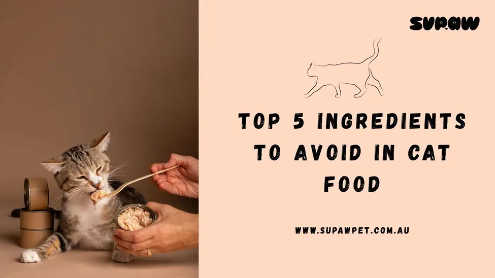 Top 5 Ingredients to Avoid in Cat Food