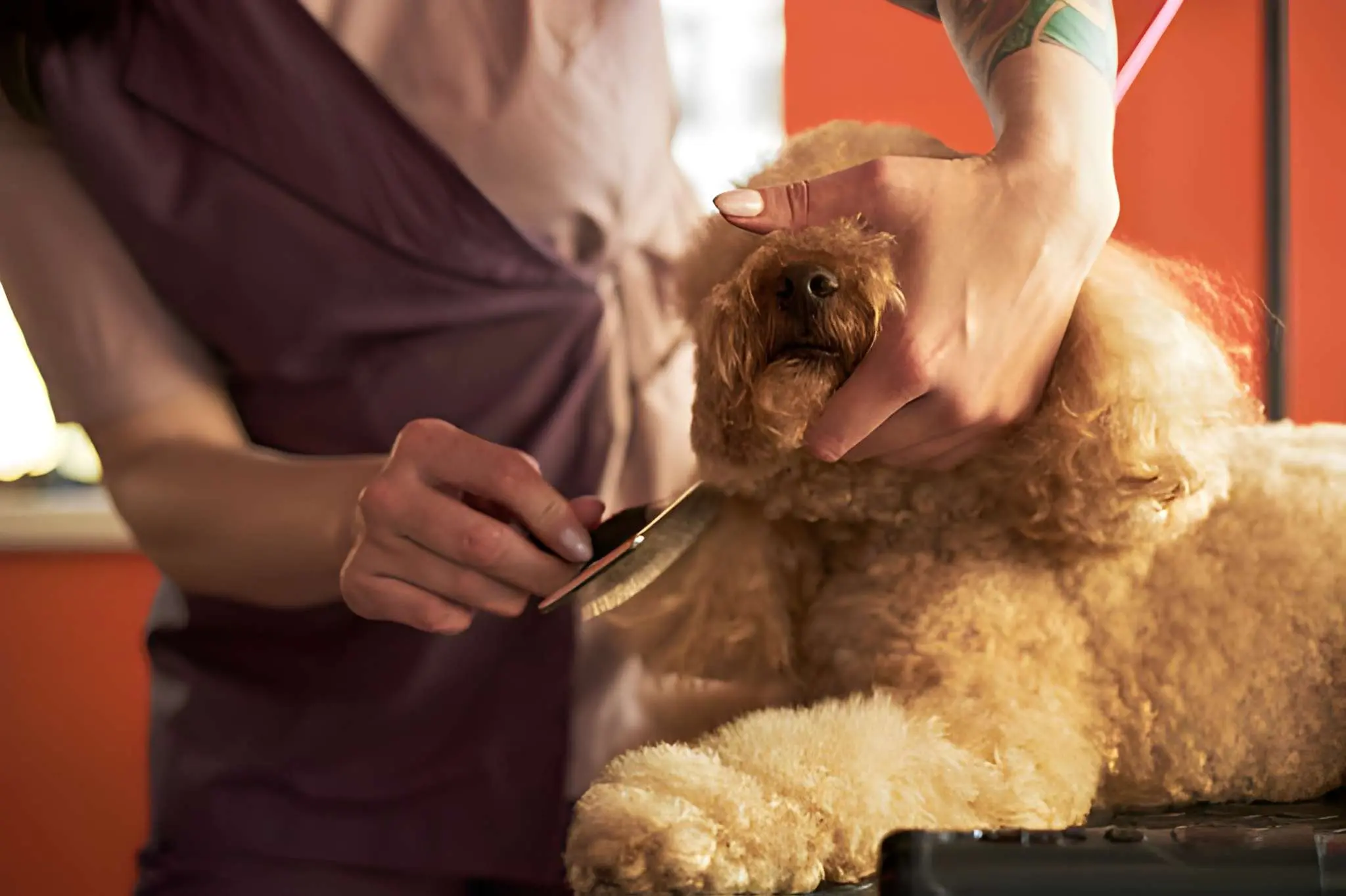 Behavior Changes That May Indicate Grooming