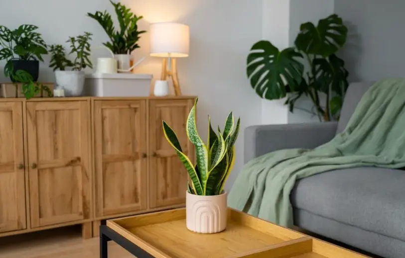 Decor That Works 7 Practical Styling Rules for Timeless, Livable Interiors